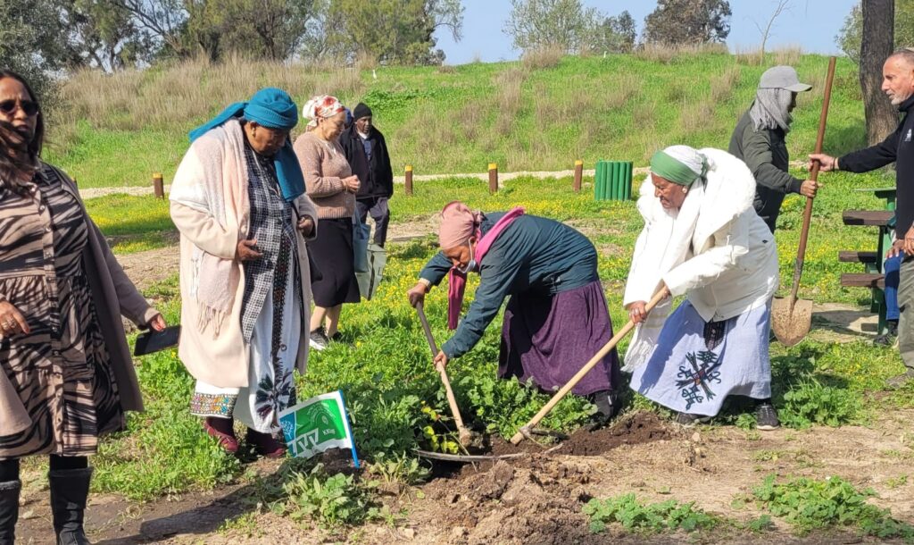 אזרחים ותיקים נוטעים