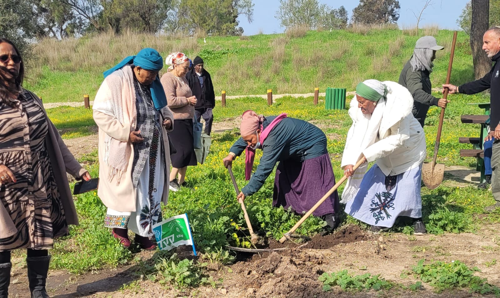 אזרחים ותיקים נוטעים